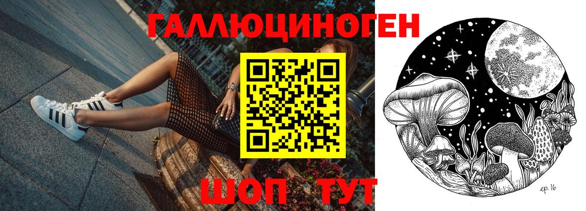 Галлюциногенные грибы MAGIC MUSHROOMS  Вход с VPN  Губаха 