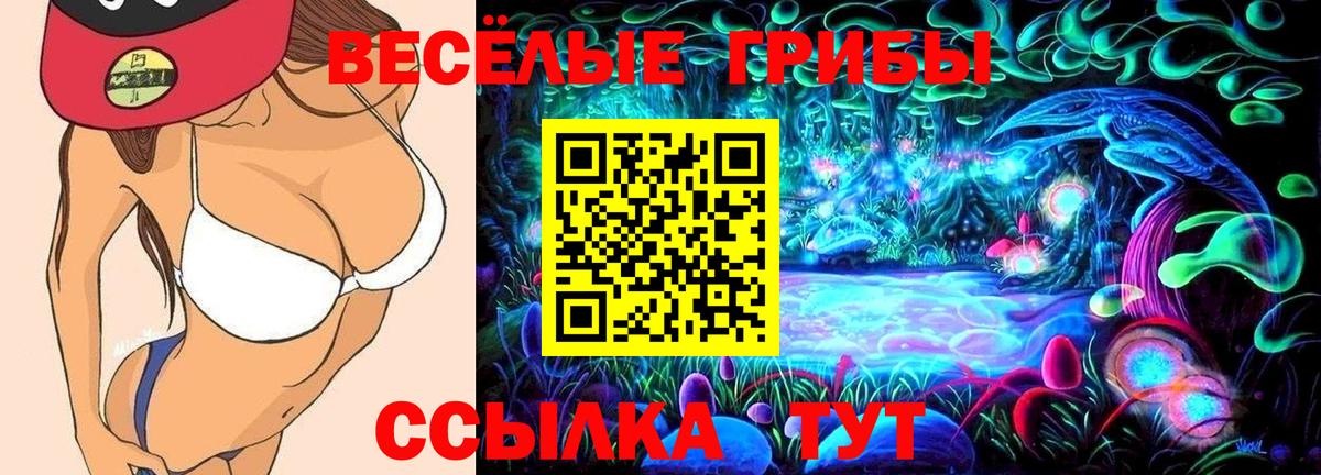 Псилоцибиновые грибы прущие грибы Губаха